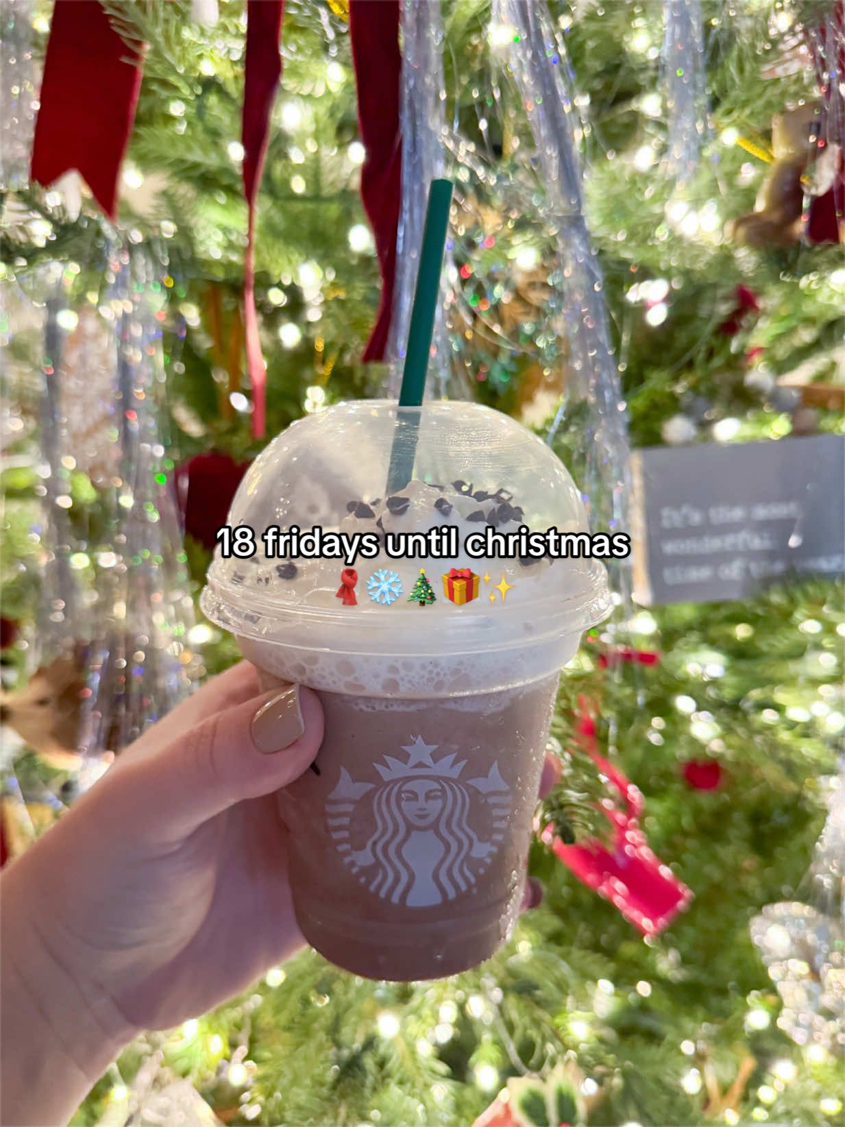 @Seasonal Kaitlyn