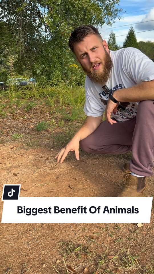 @Bandrhomestead