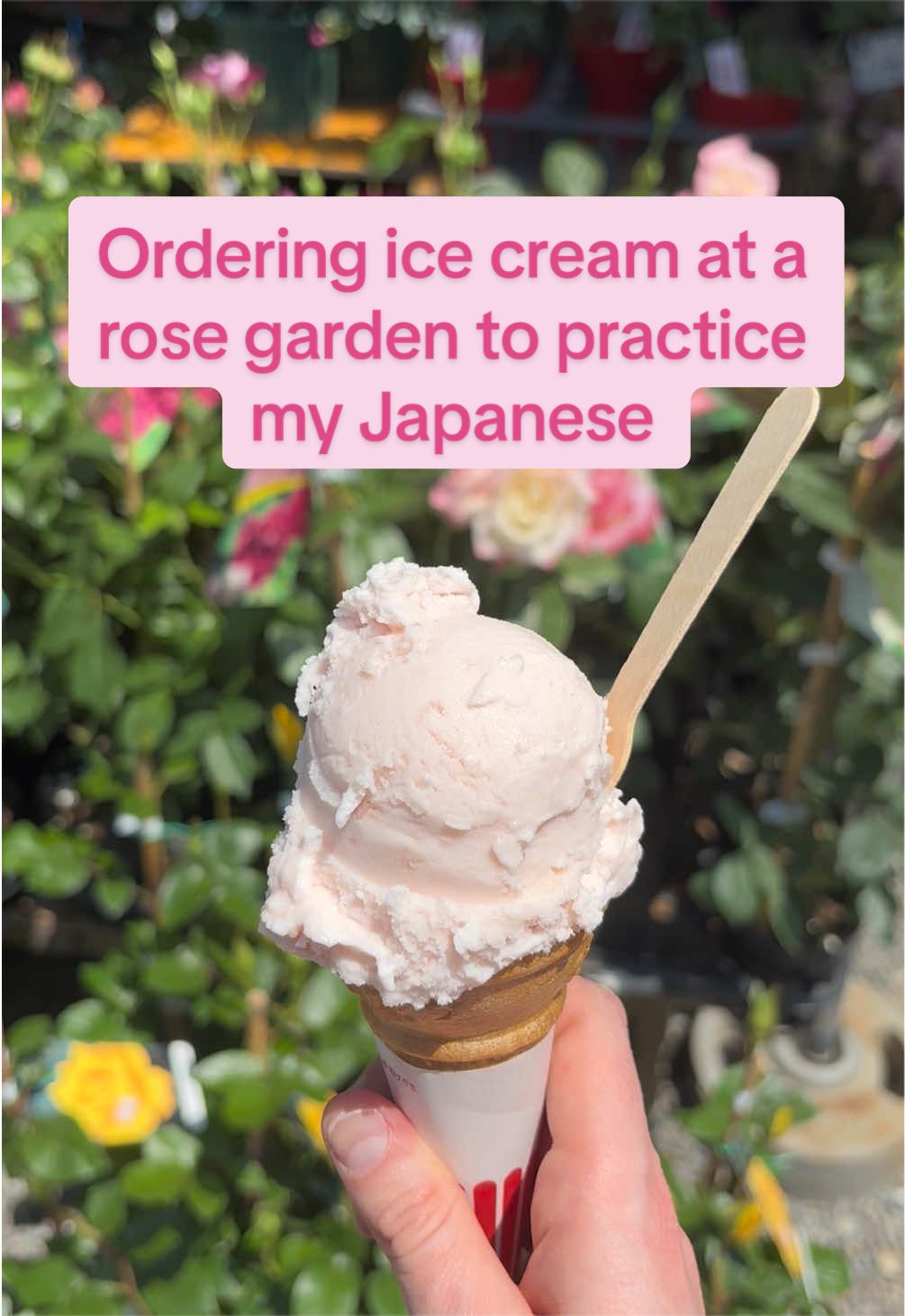 @Nicole ニコ