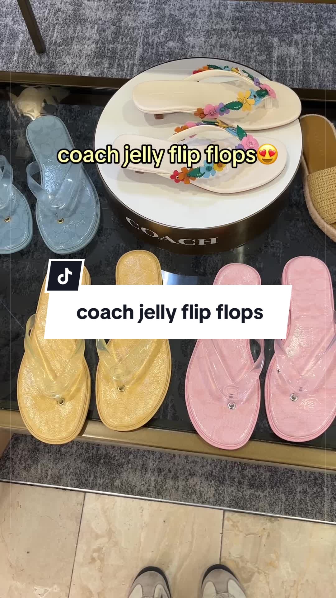 @nic 𓆩✧𓆪
