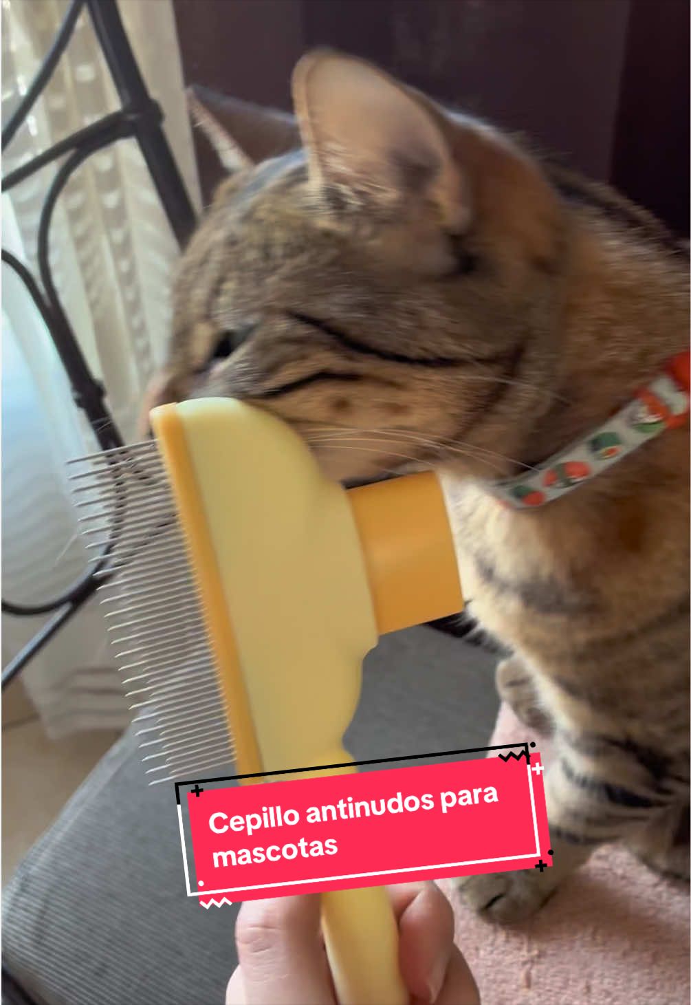 @Pily y Abelito