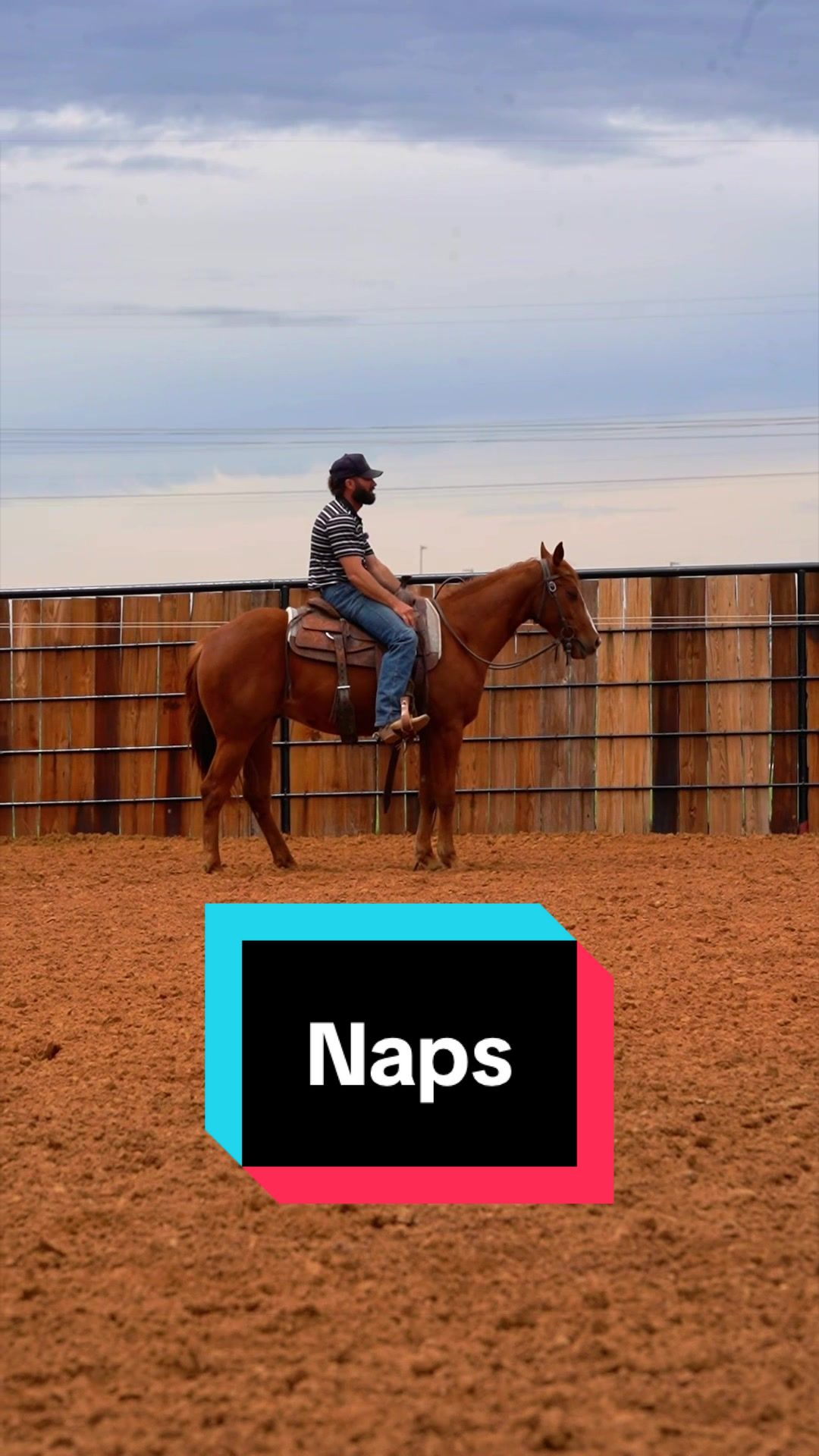 @WS Horses