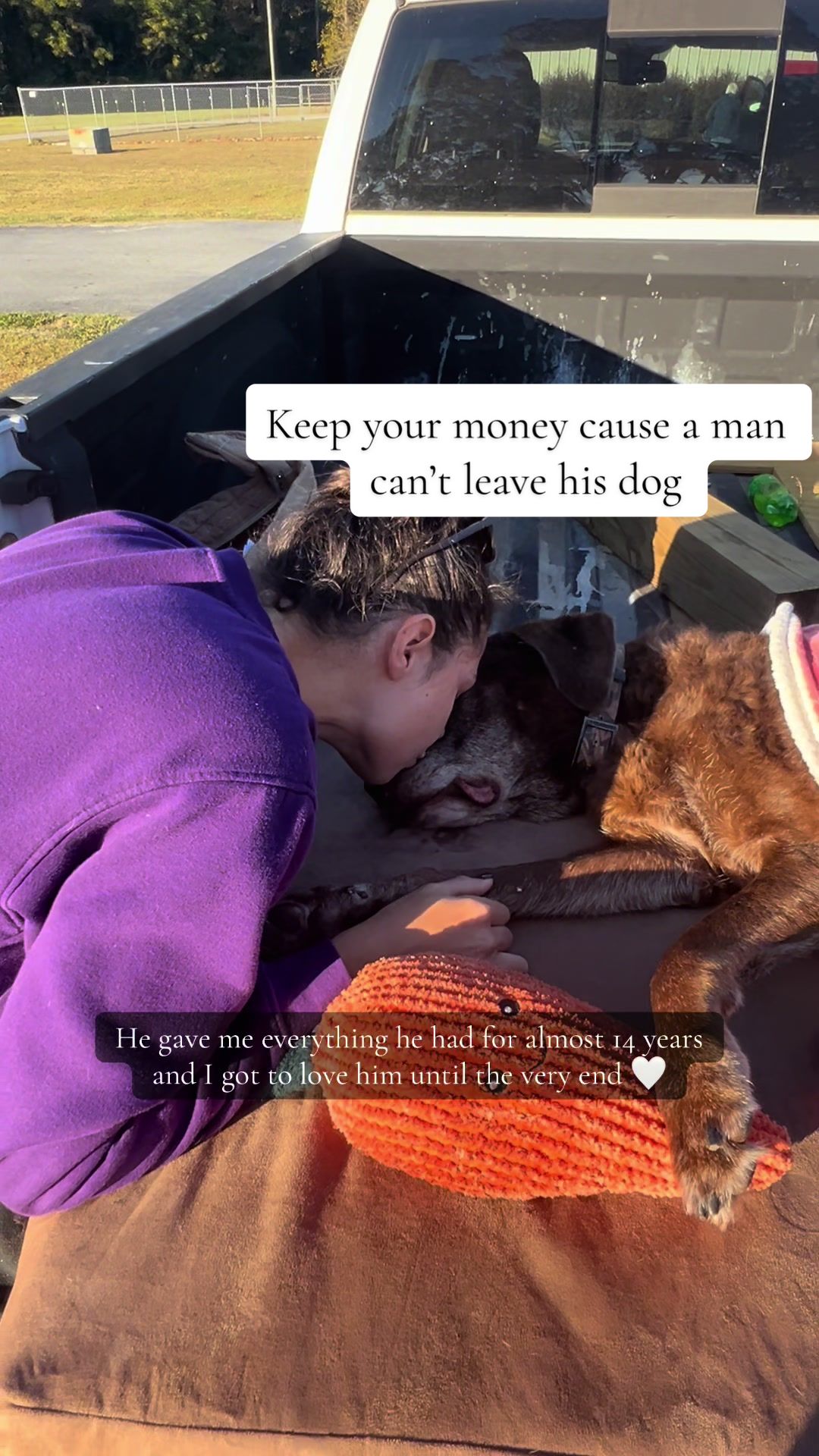 @Laura | Married With Dogs