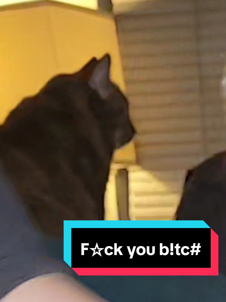 @BearNinjaSquad