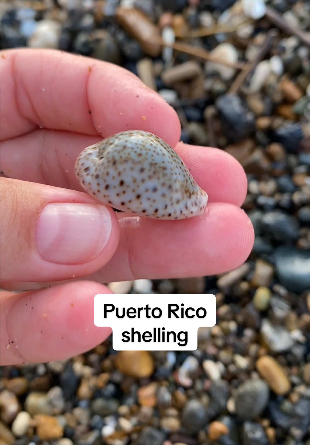 @🐚Jojo🌴