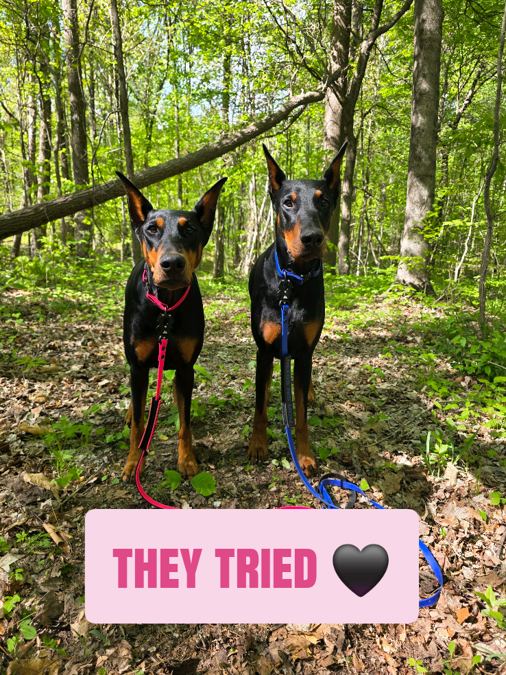 @Dobergoats Cash & Kaia