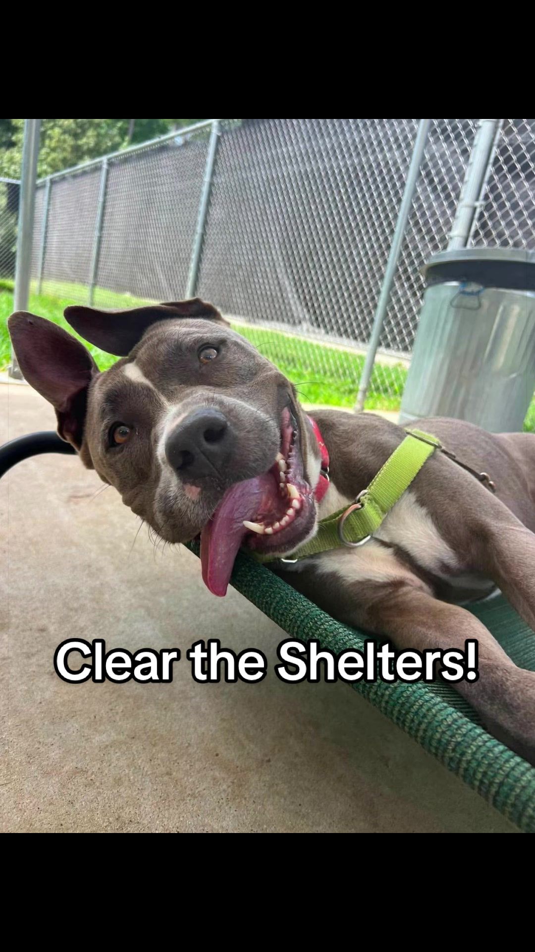@Corridor Rescue Inc.