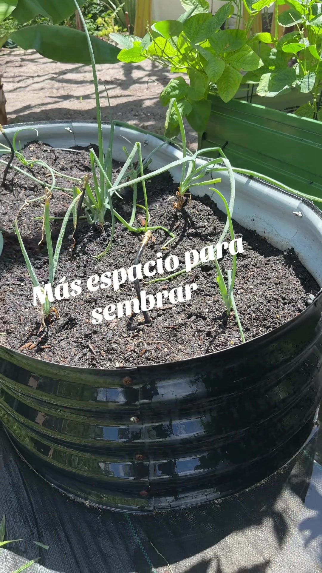 @Aprendiendo con Ana