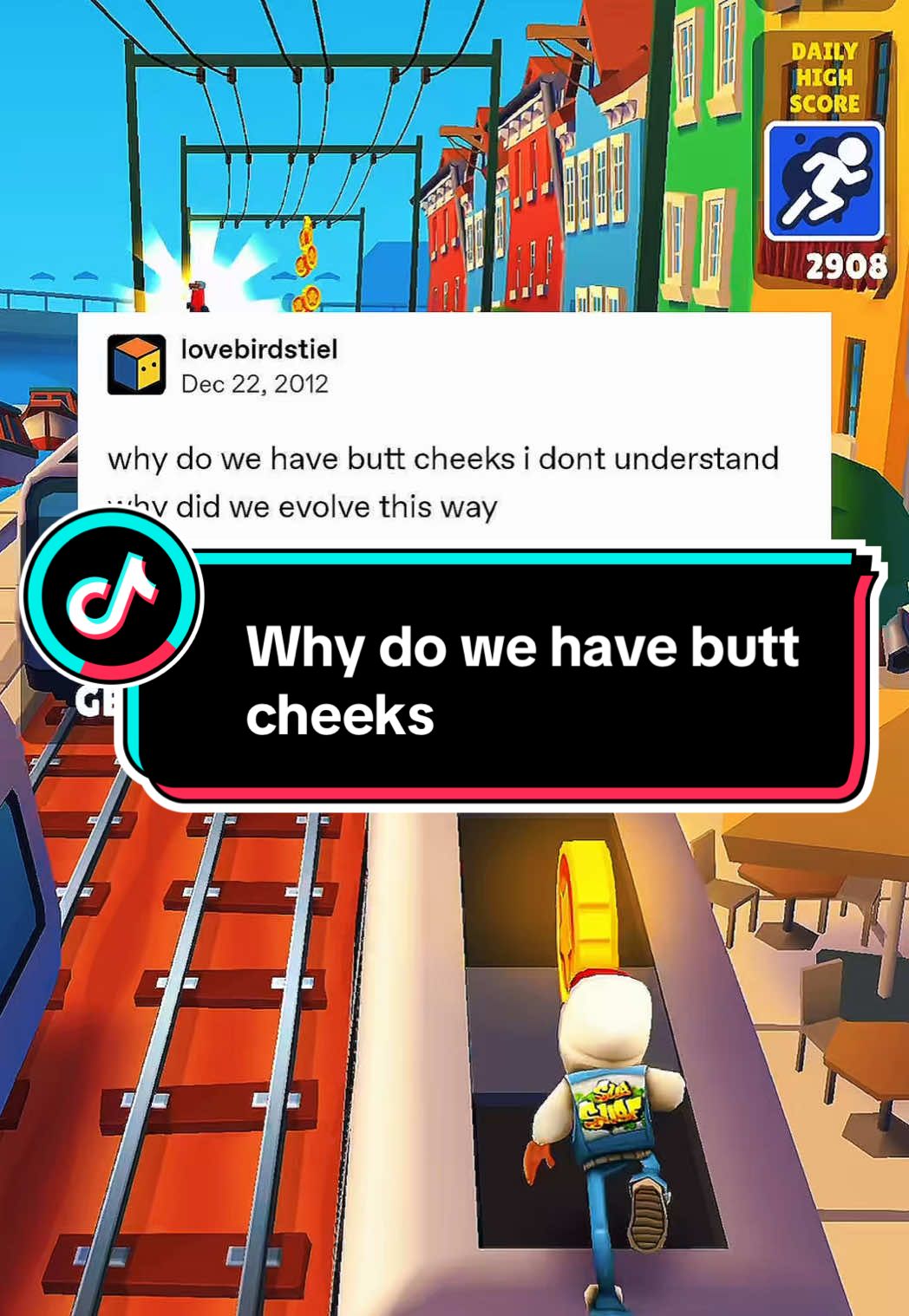 @Daily Memes