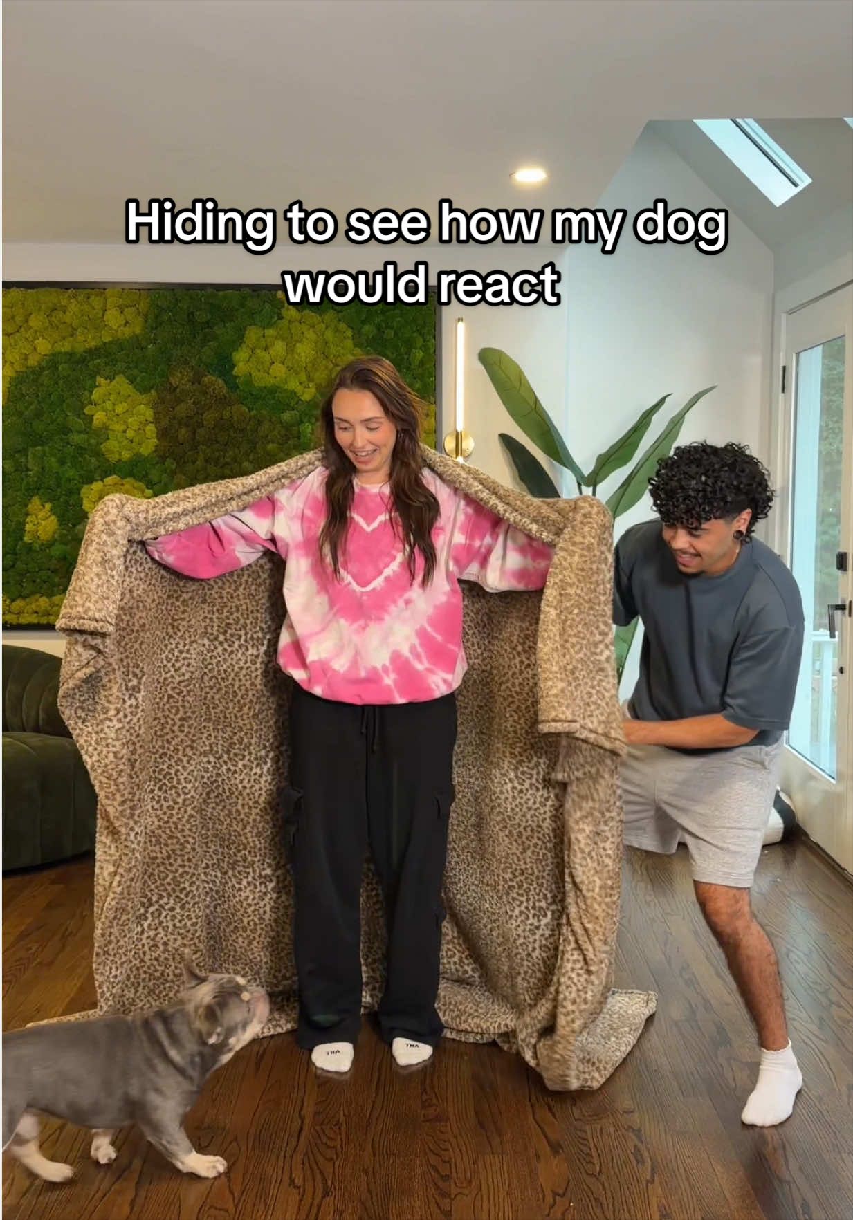 @A1saud