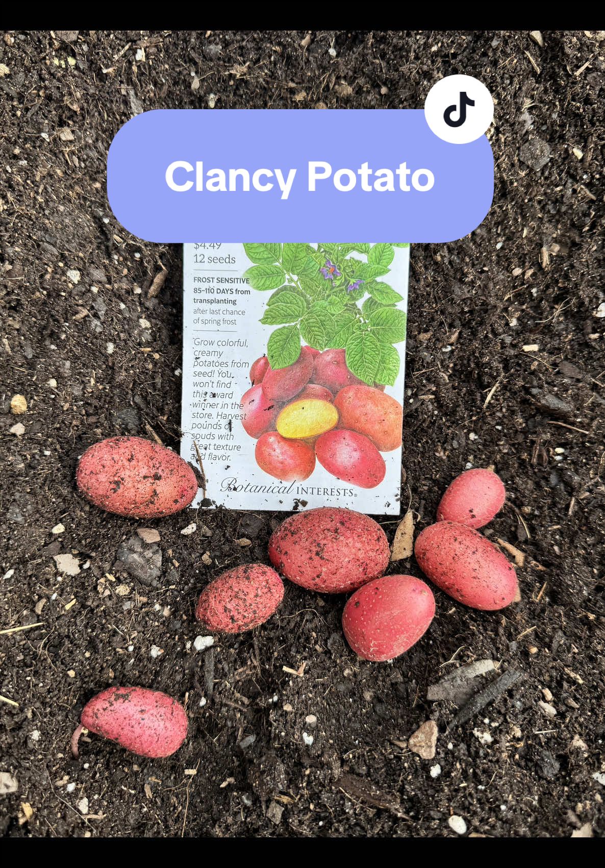 @Manica | zone 6a gardener
