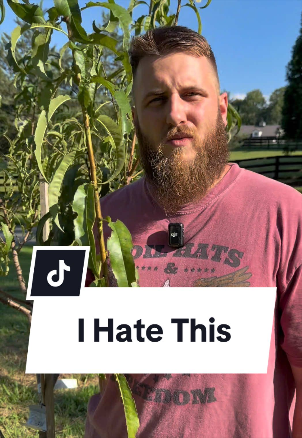 @Bandrhomestead