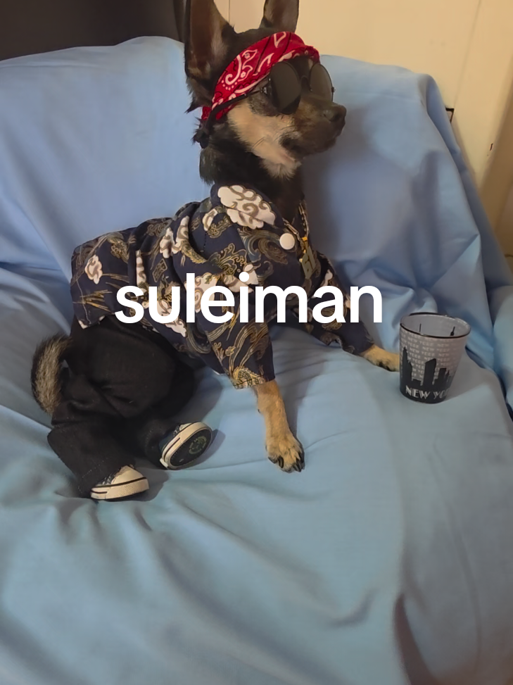 @suleiman 🐕