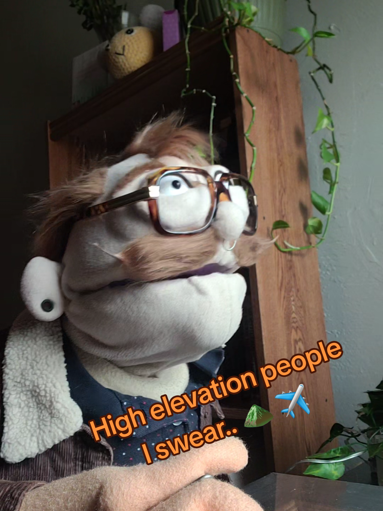 @Dailydoseofpuppetcomedy