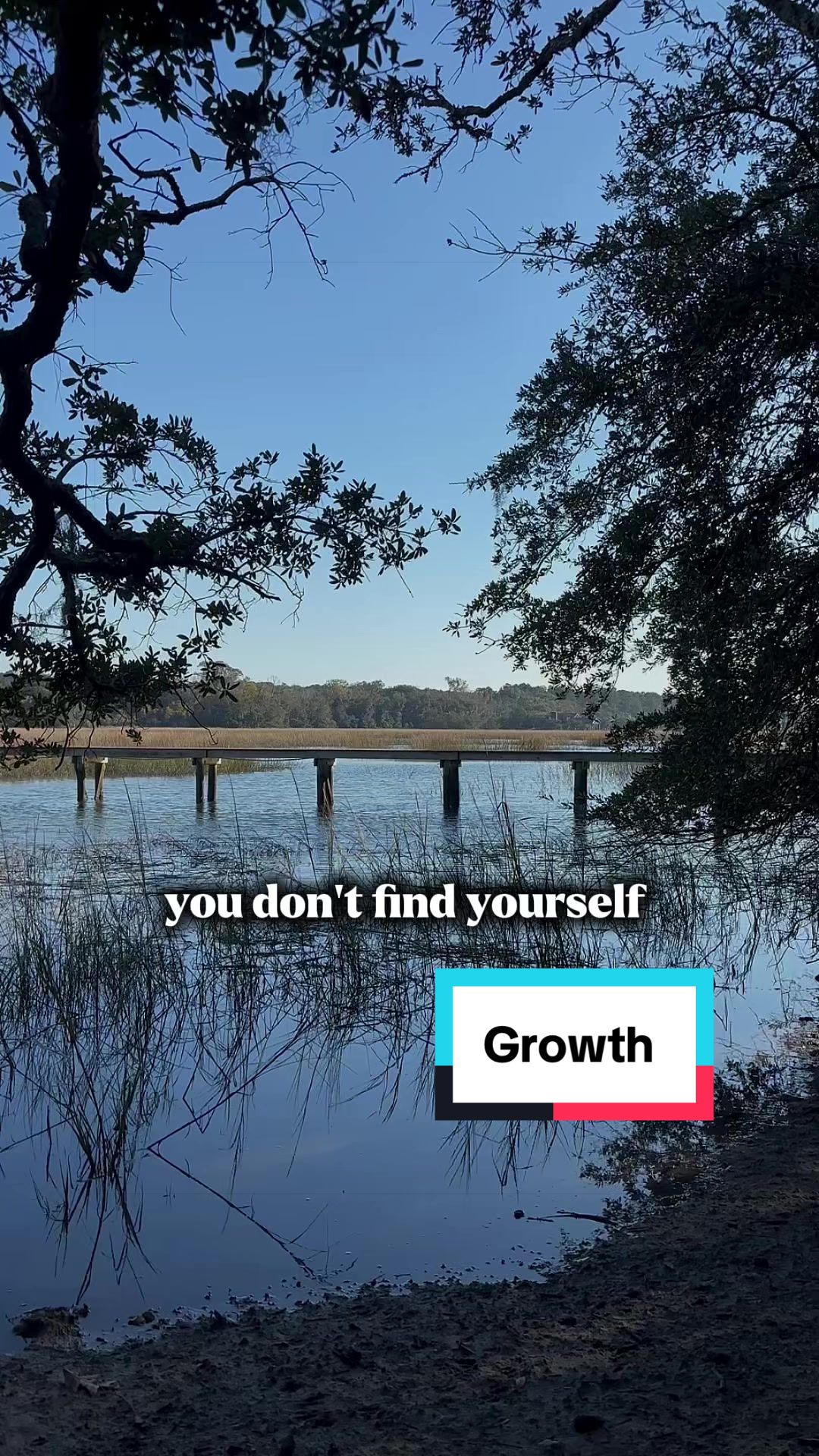 @IntuitivelifecoachingbyLaurieL