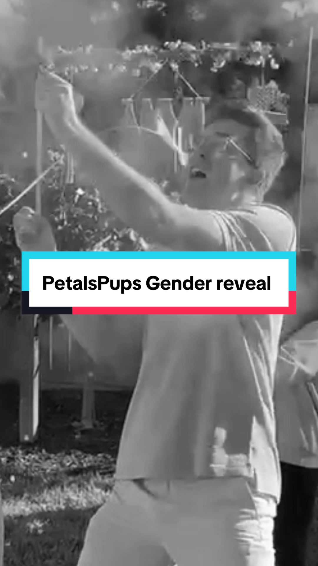 @petals pups handmade studio