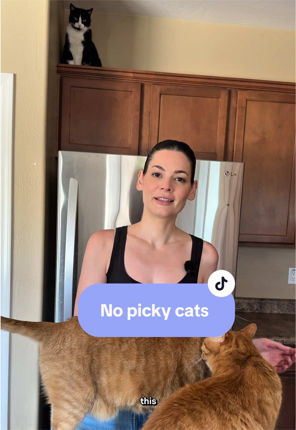 @Feminist Kitty | Cat Nutrition