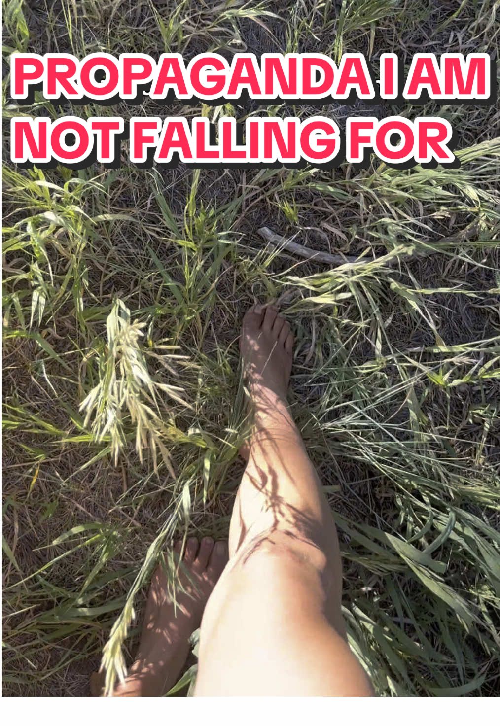 @Peyton Nori 👣
