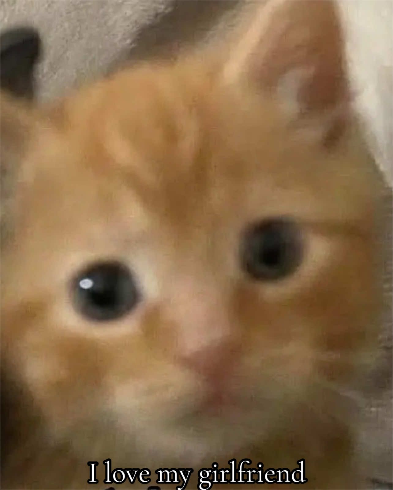 @sl33py_d4mi4n ⦻
