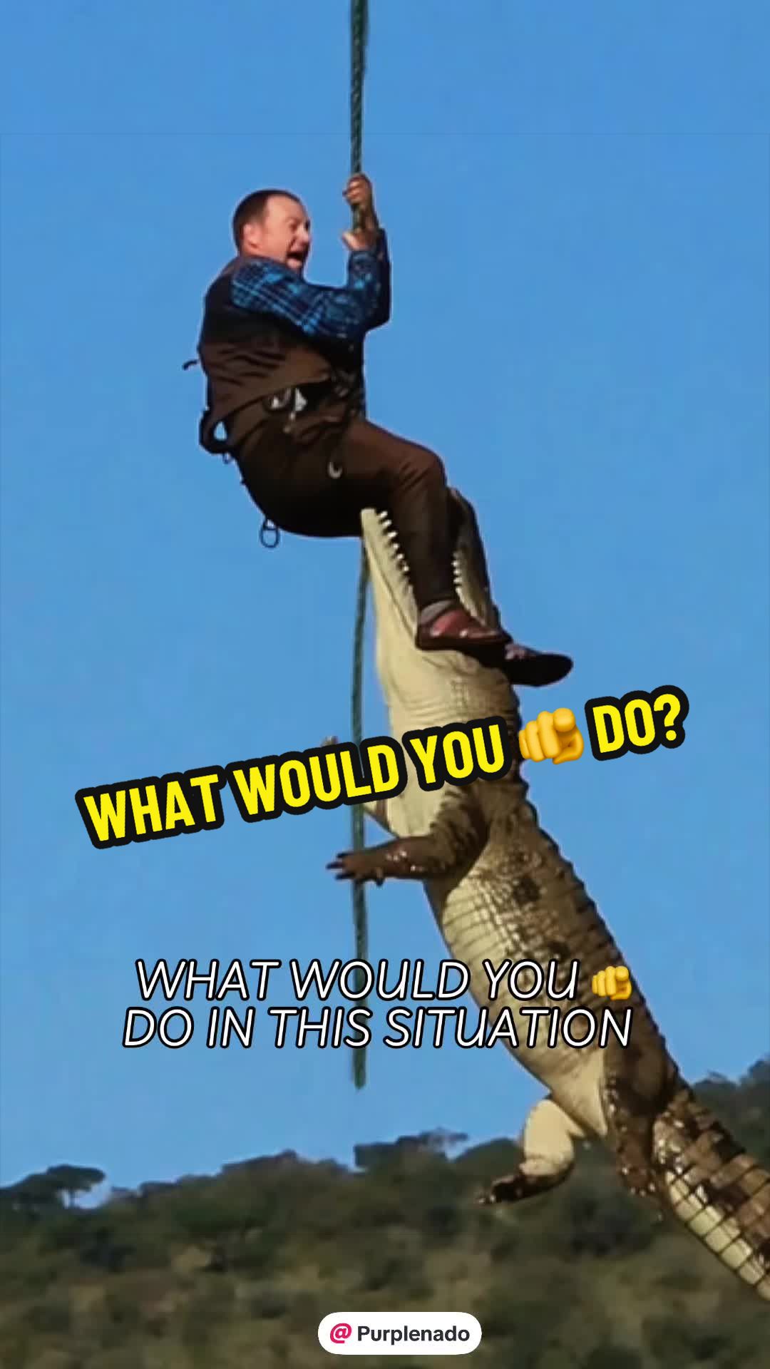 @Purplenado