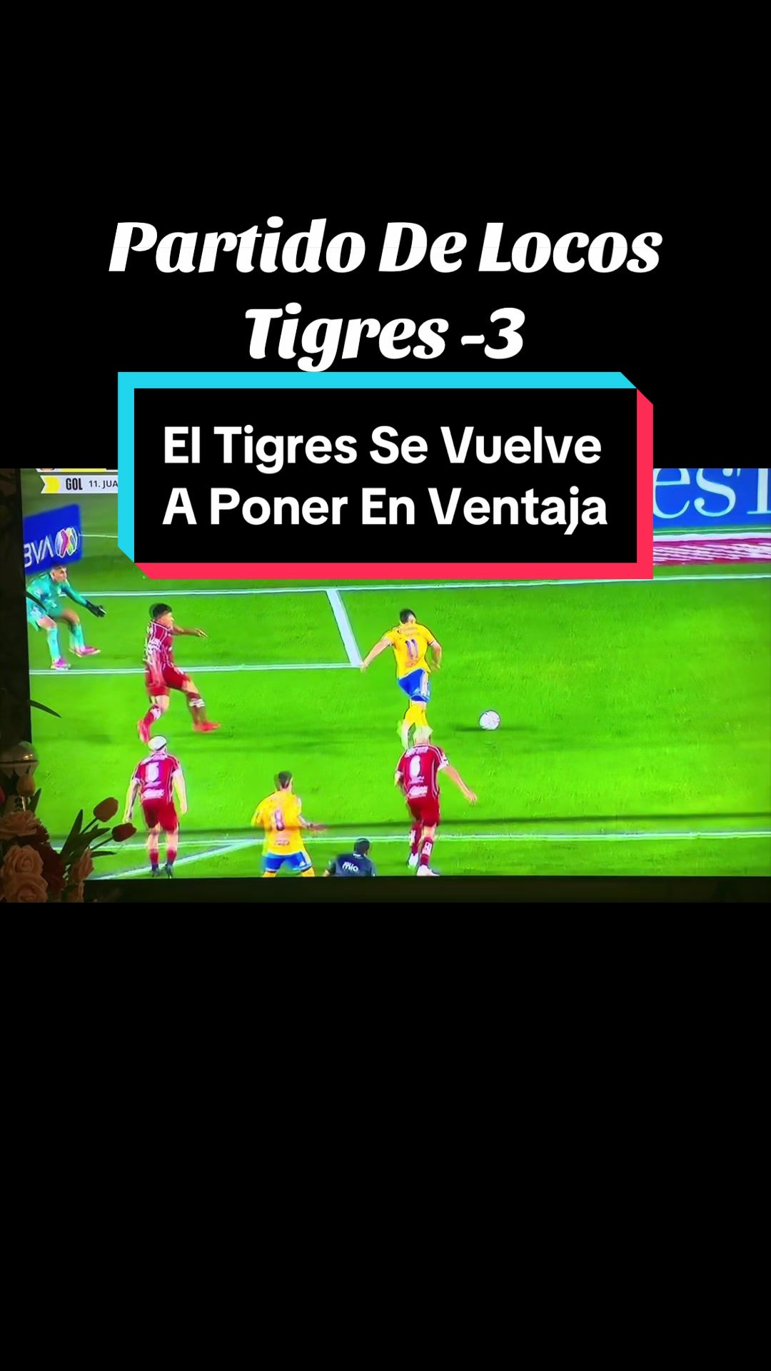 @elbuenavida58
