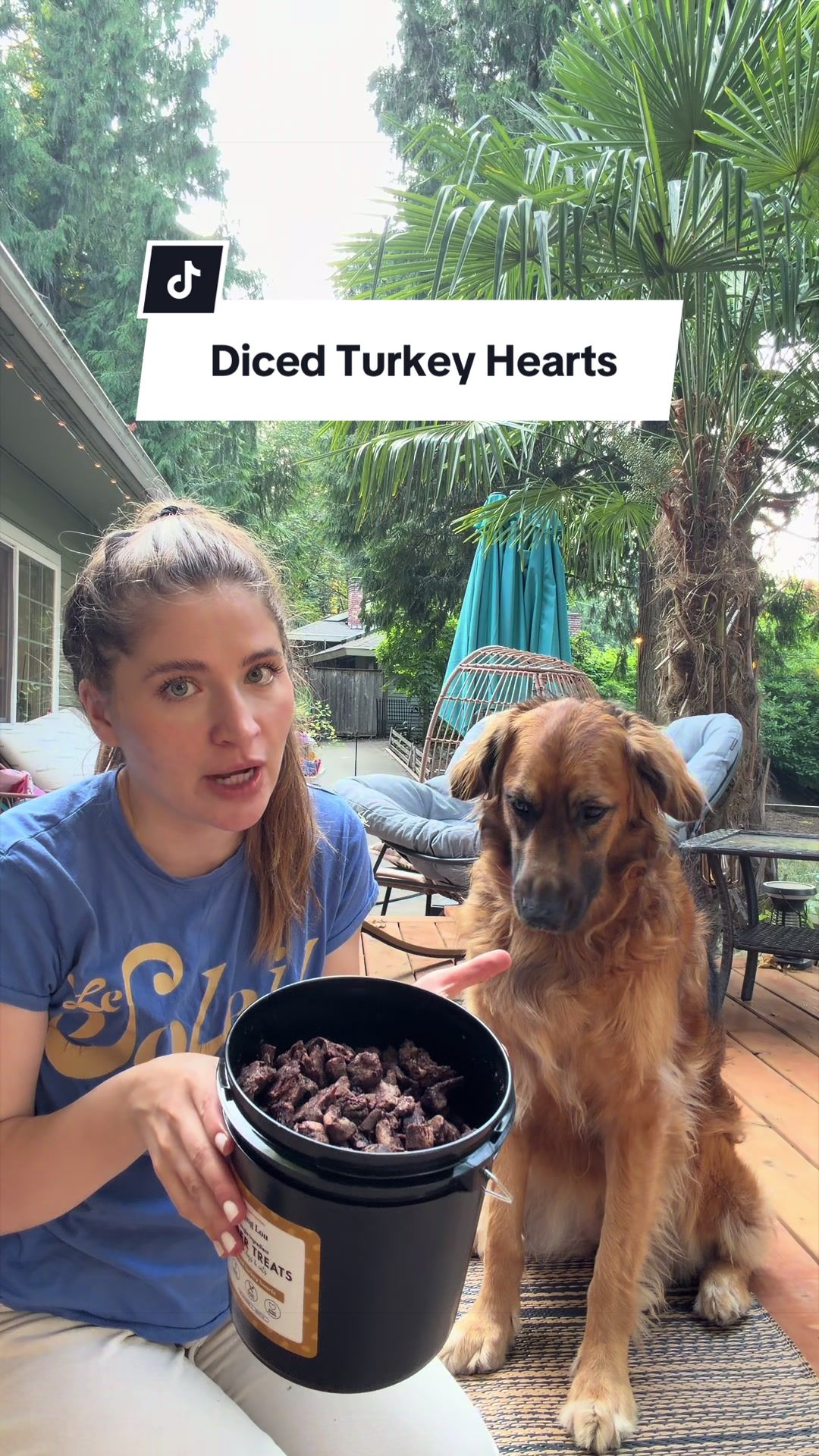 @lifewithgoldenshepherds