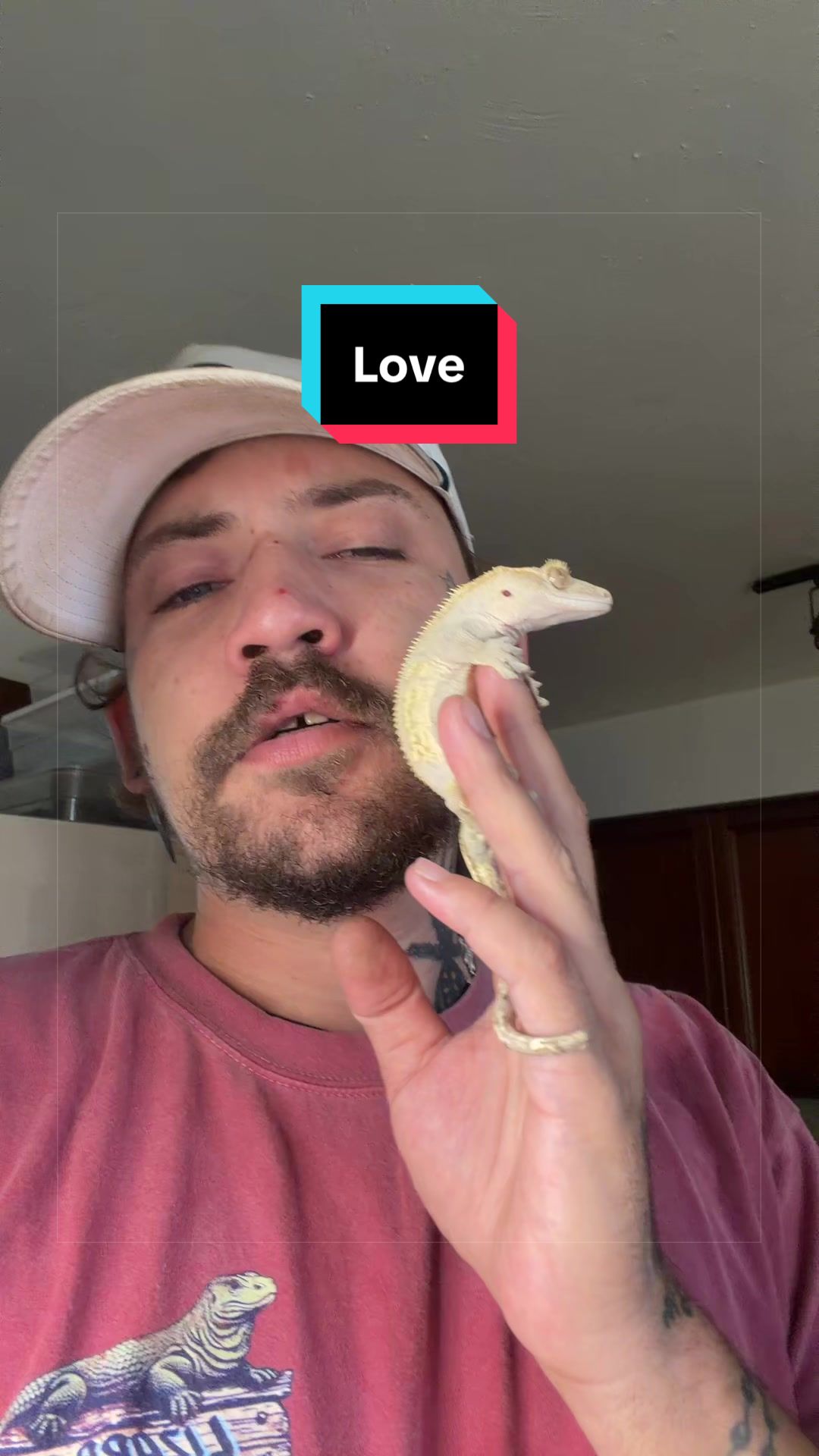 @HTL Exotics