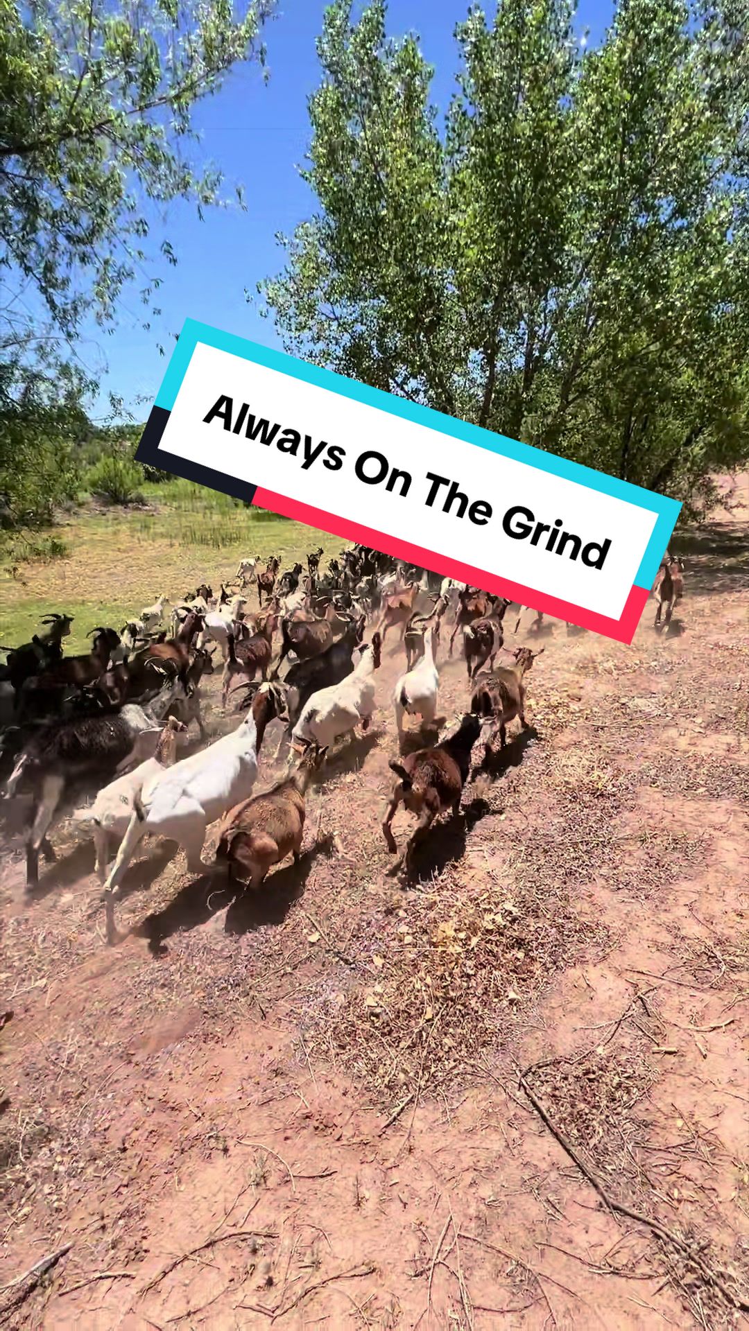 @cowboymax