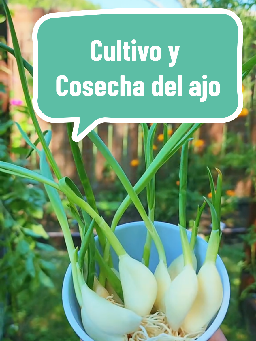 @Mi Rincón Favorito