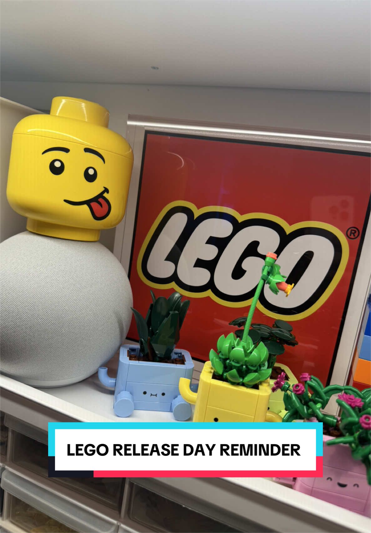 @ridzbricks