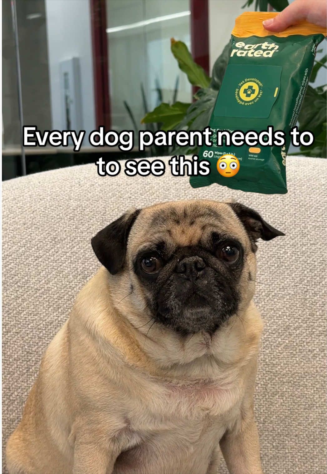 @earthrated