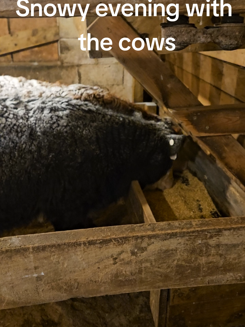 @Contraban Farms