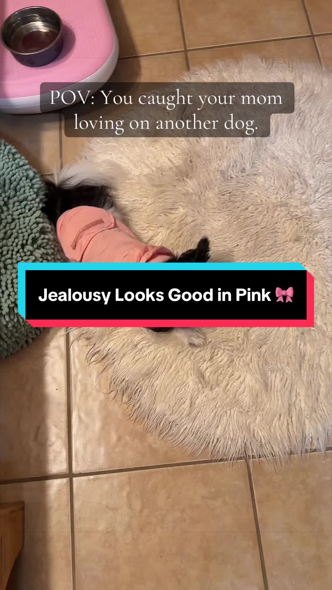 @TheLittleLunaBean