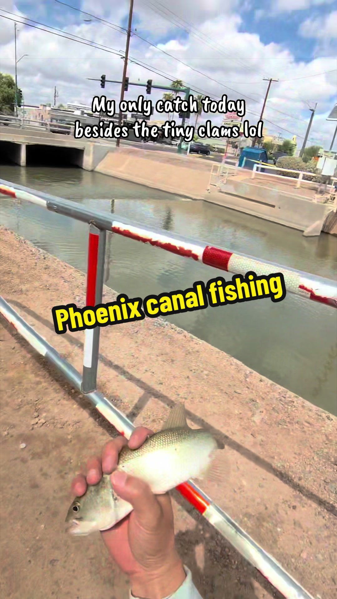 @Luu Nguyen Fishing