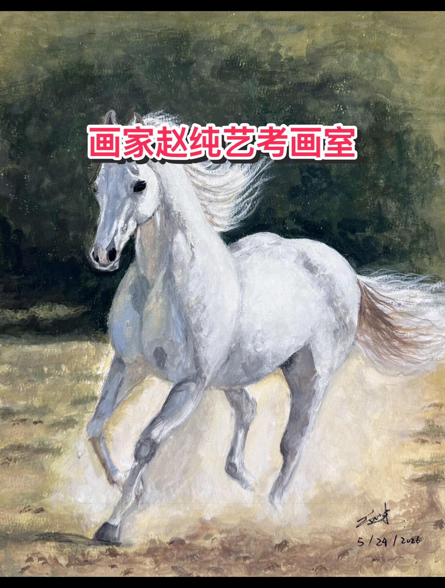 @画家赵纯