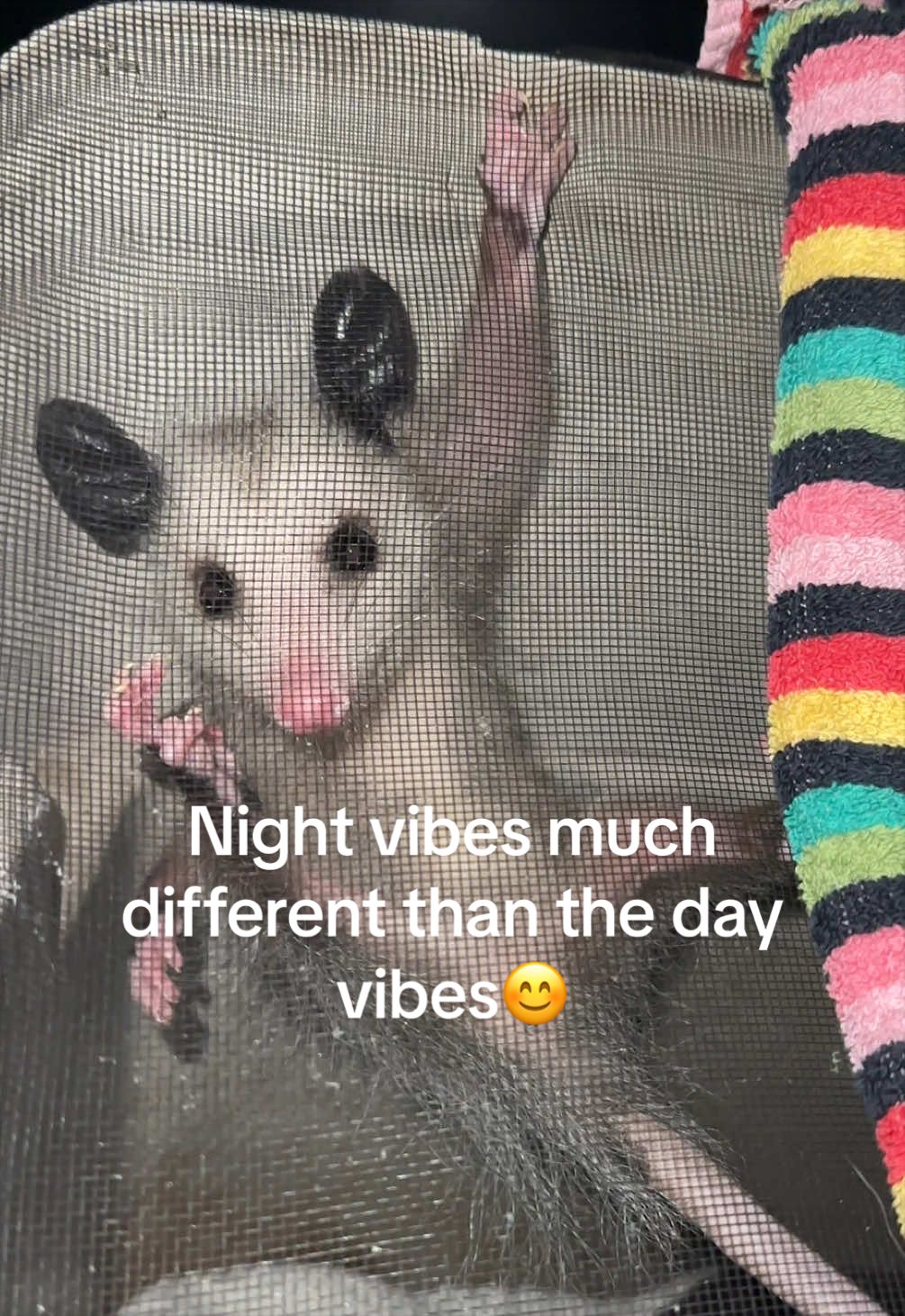 @ᏫᏫᏥᎯᎥᎽᎯᏲ
