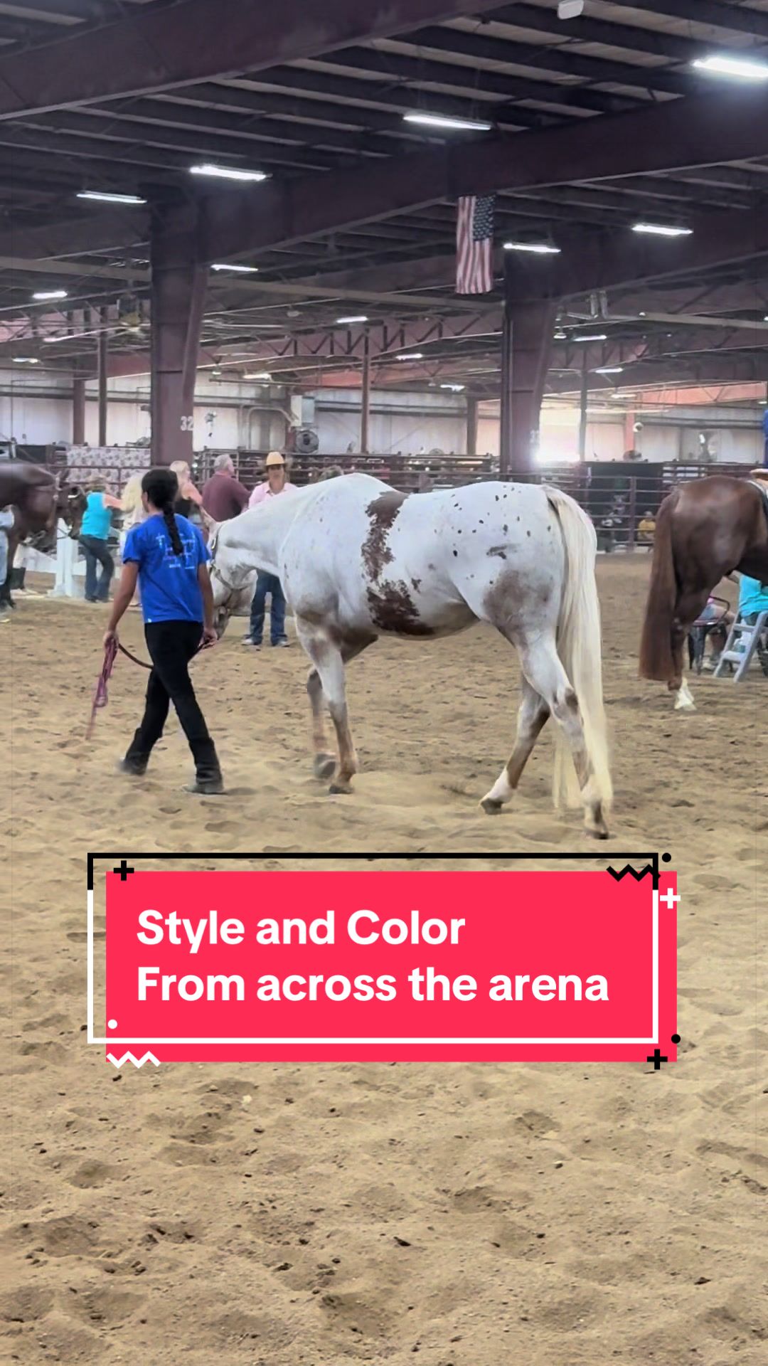 @yourhorseandponyleader