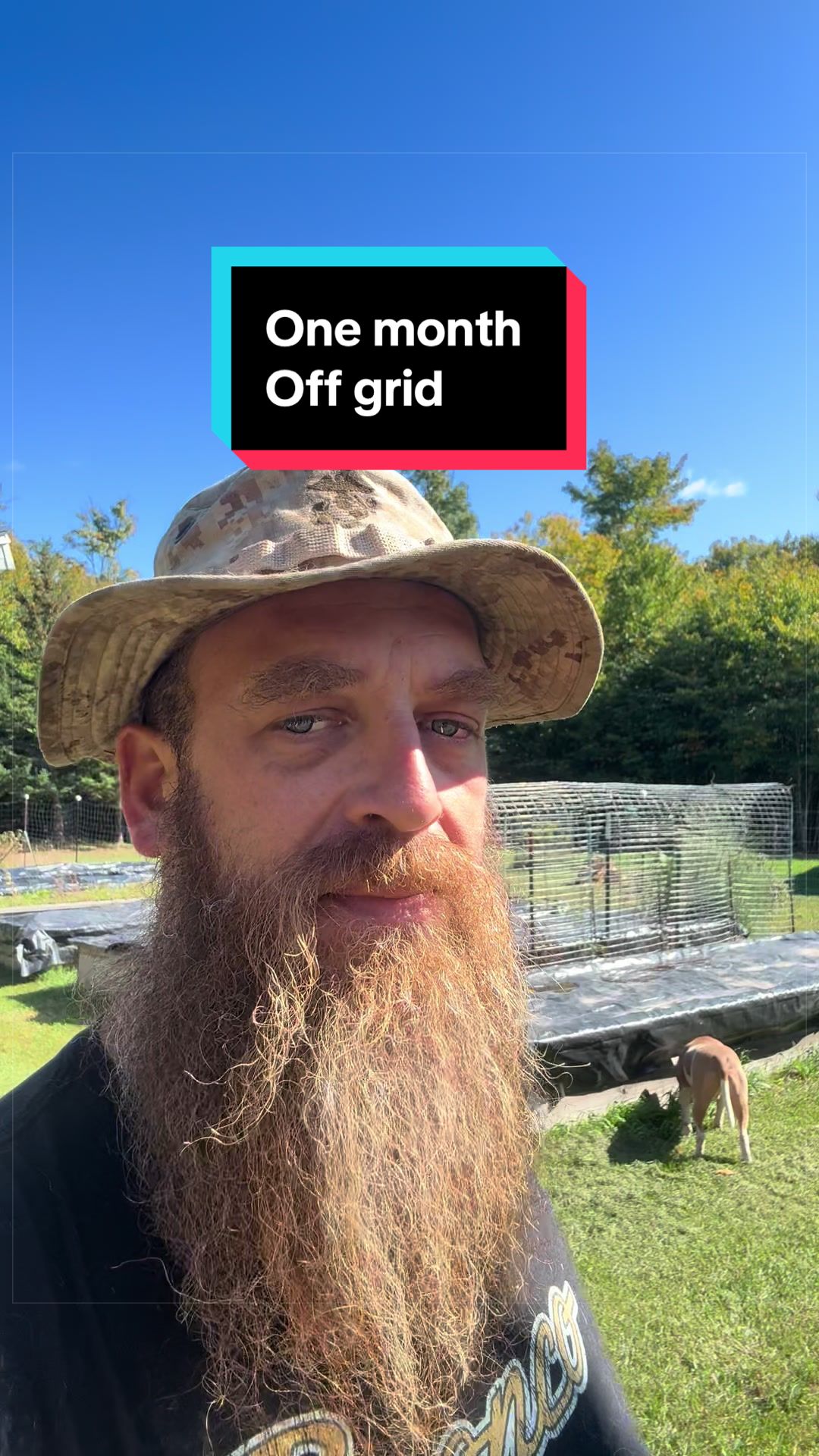 @Bearded bee man