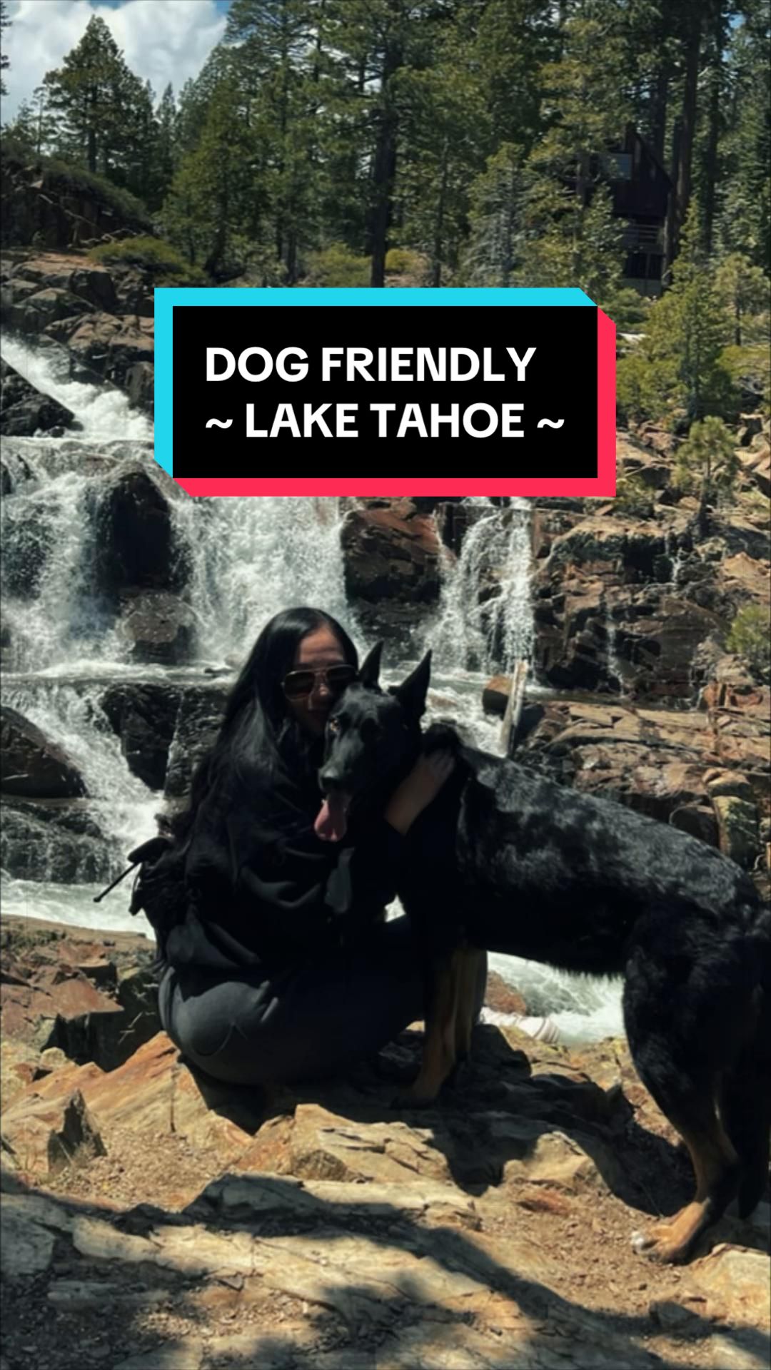 @Ava Noel 🐶💗🐾