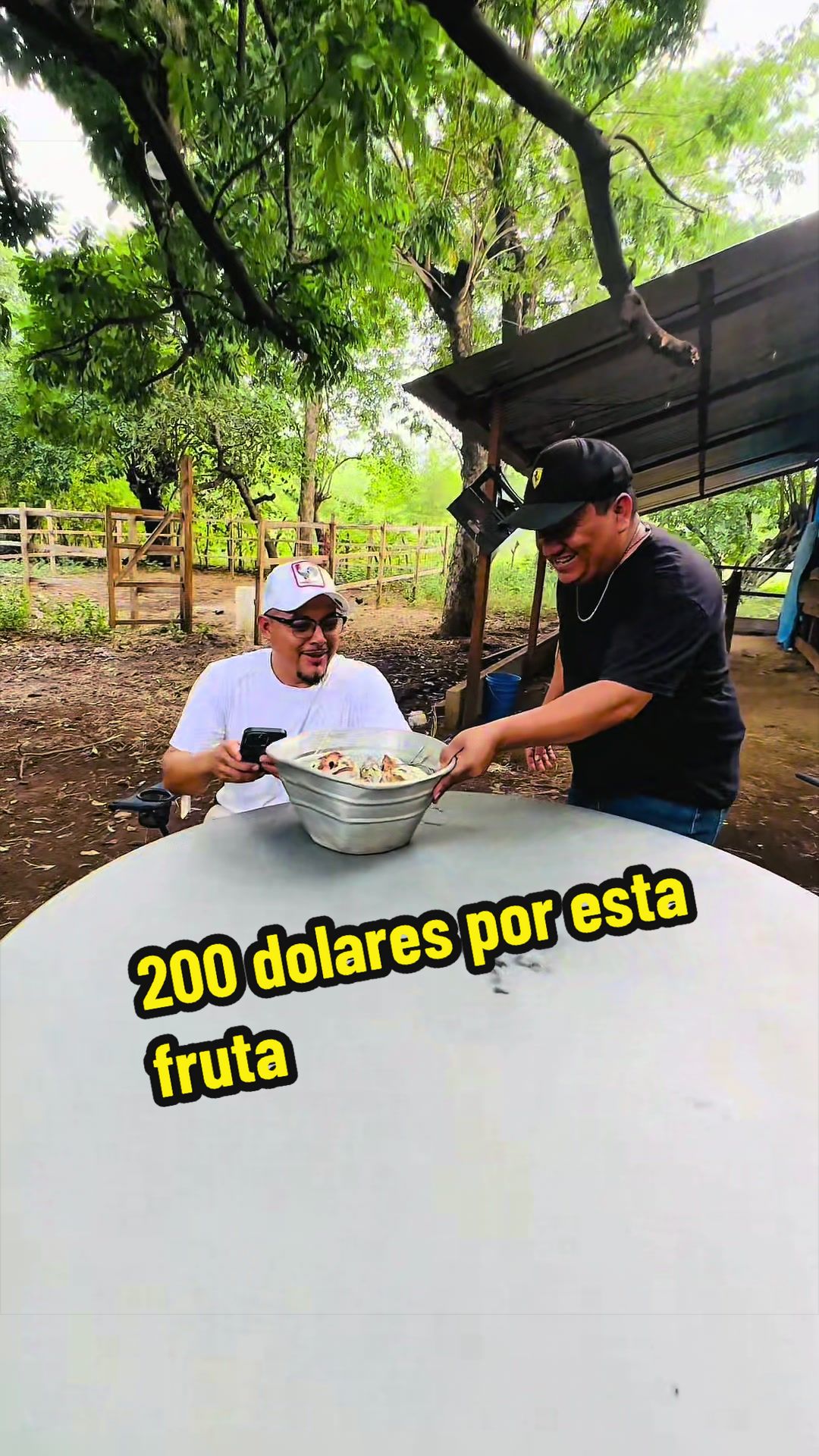 @El Charrula 504 🔨🔨