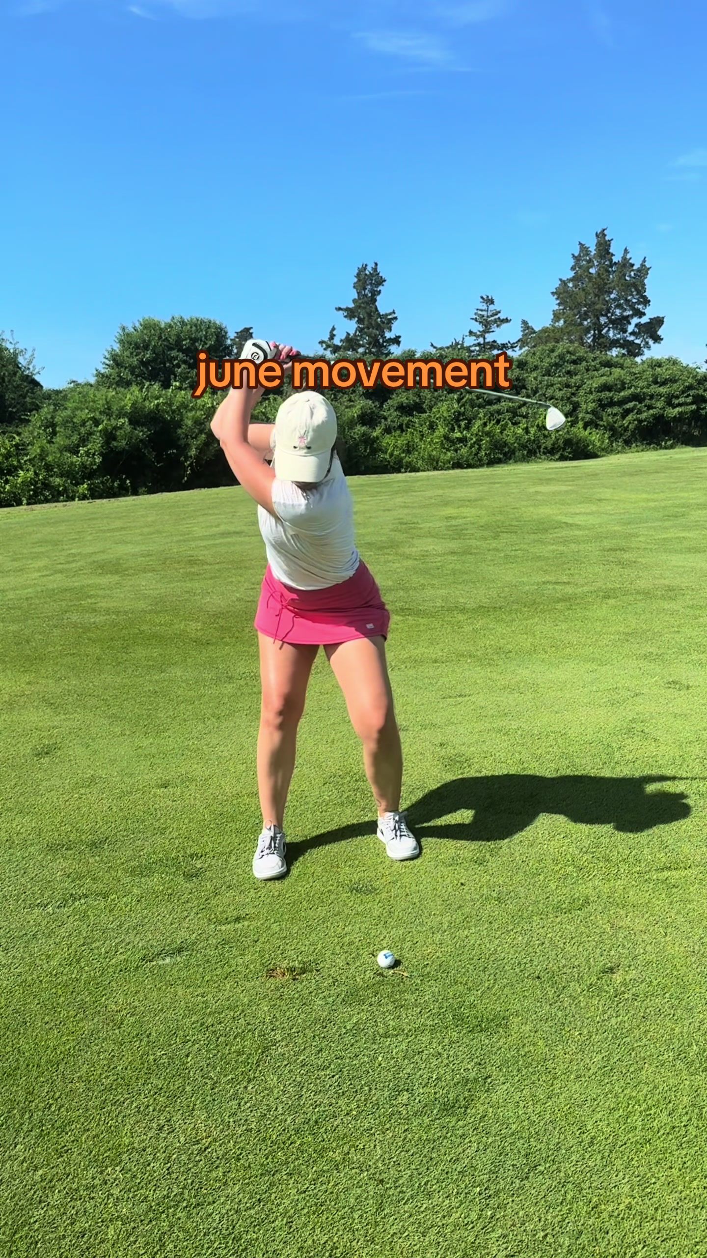 @ivy