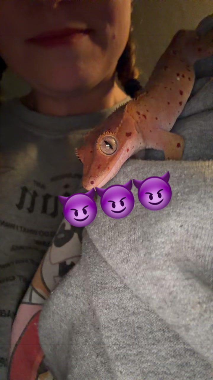 @indominusreps