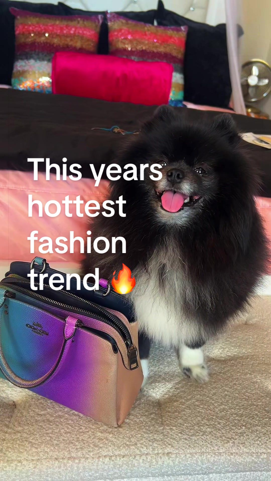 @BiggiePomPom