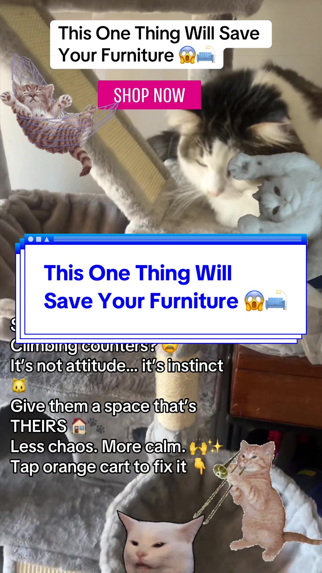 @busytre227.0