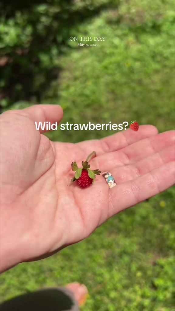@Diana