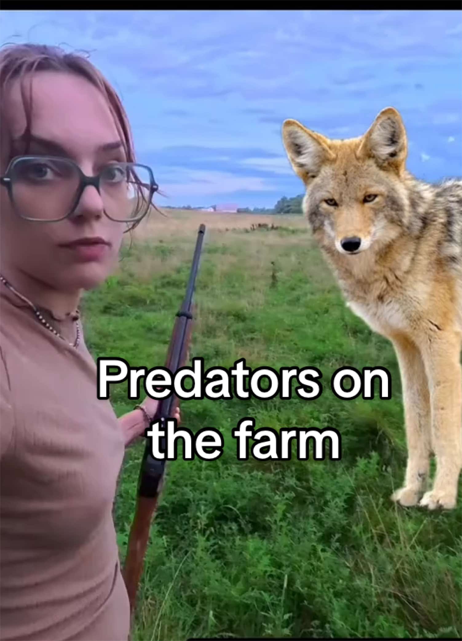 @Haley The Homesteader