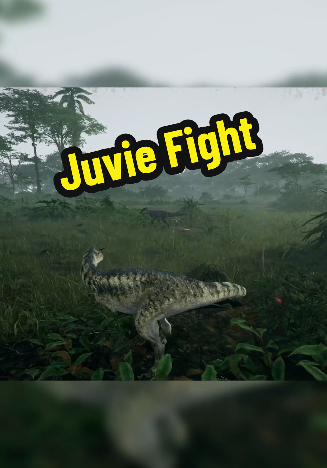 @IrregularOddsGaming