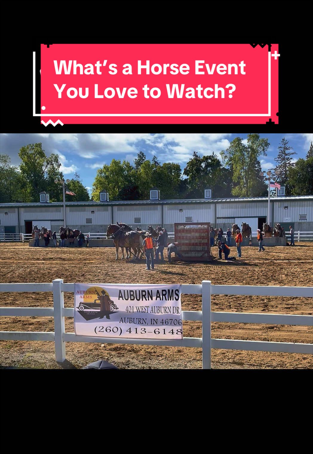 @yourhorseandponyleader