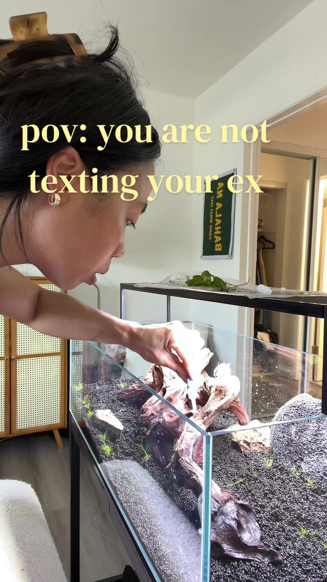 @chooks