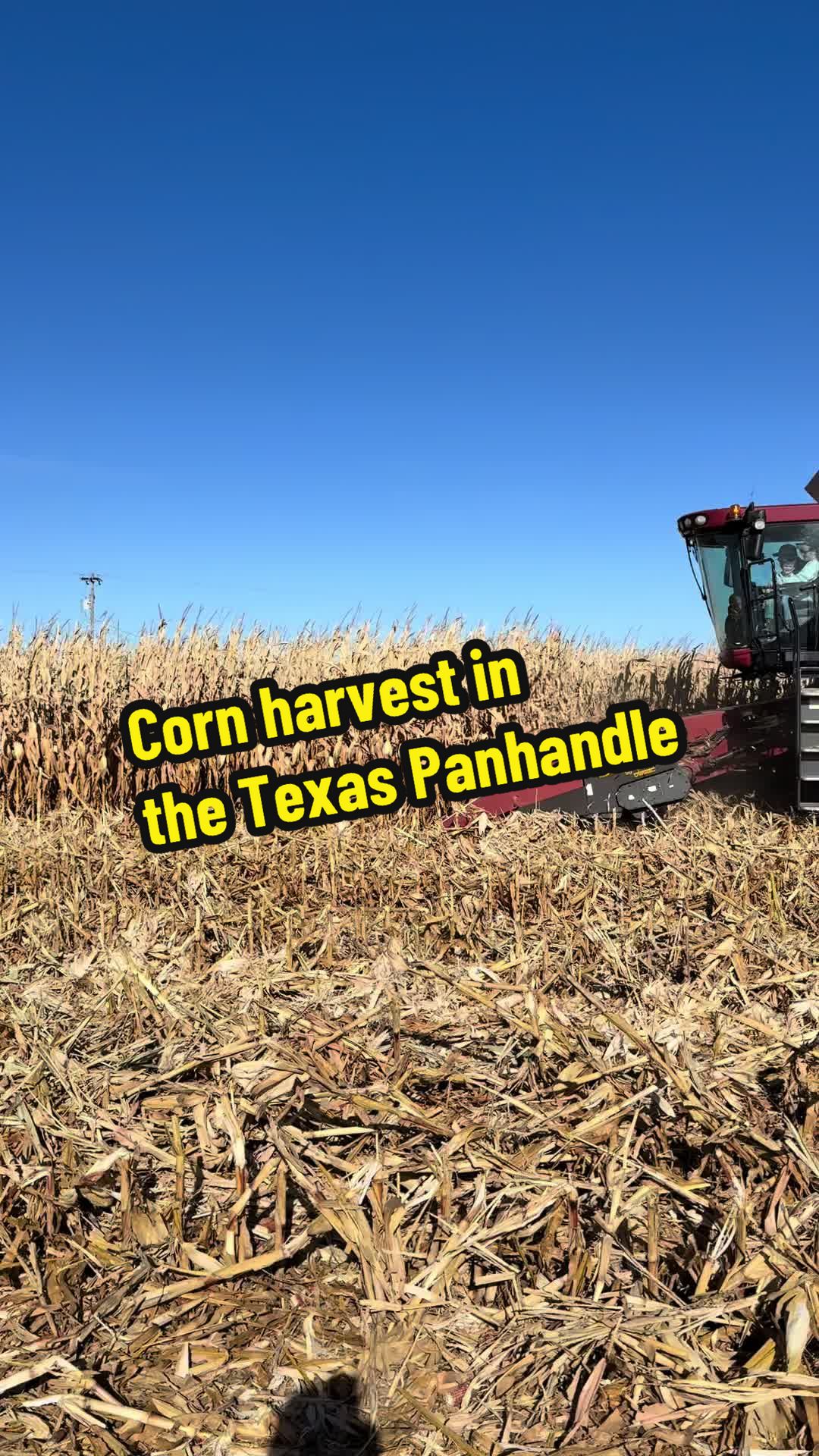 @Farming Texas